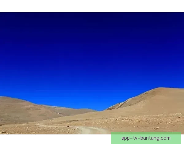 梦想树的海角：遗落人间的诗意栖居地